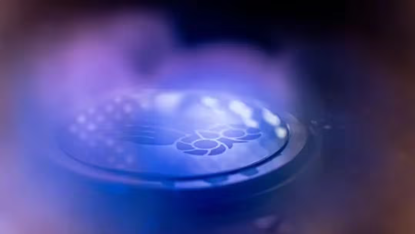 1772075191952918.png ScreenShot_2026-02-26_102620_379.png